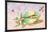 Three Insect Examples-James Duncan-Mounted Art Print