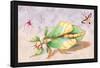 Three Insect Examples-James Duncan-Framed Stretched Canvas