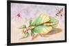 Three Insect Examples-James Duncan-Stretched Canvas