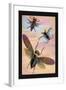 Three Insects in Flight-James Duncan-Framed Art Print