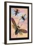 Three Insects in Flight-James Duncan-Framed Art Print