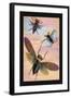 Three Insects in Flight-James Duncan-Framed Art Print