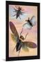 Three Insects in Flight-James Duncan-Mounted Art Print