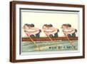 Brown Frame