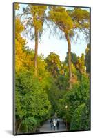 Three Iranian women walking through the Bagh-e Eram (Garden of Paradise), Shiraz, Iran, Middle East-James Strachan-Mounted Photographic Print