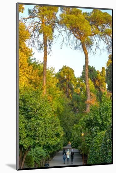 Three Iranian women walking through the Bagh-e Eram (Garden of Paradise), Shiraz, Iran, Middle East-James Strachan-Mounted Photographic Print