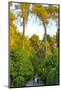 Three Iranian women walking through the Bagh-e Eram (Garden of Paradise), Shiraz, Iran, Middle East-James Strachan-Mounted Photographic Print