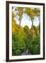 Three Iranian women walking through the Bagh-e Eram (Garden of Paradise), Shiraz, Iran, Middle East-James Strachan-Framed Photographic Print