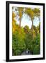 Three Iranian women walking through the Bagh-e Eram (Garden of Paradise), Shiraz, Iran, Middle East-James Strachan-Framed Photographic Print