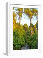 Three Iranian women walking through the Bagh-e Eram (Garden of Paradise), Shiraz, Iran, Middle East-James Strachan-Framed Photographic Print