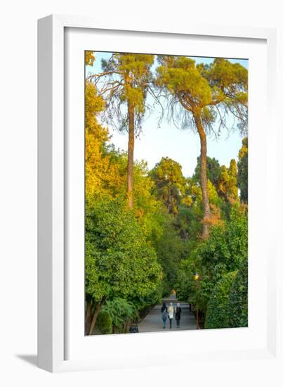 Three Iranian women walking through the Bagh-e Eram (Garden of Paradise), Shiraz, Iran, Middle East-James Strachan-Framed Photographic Print