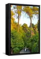 Three Iranian women walking through the Bagh-e Eram (Garden of Paradise), Shiraz, Iran, Middle East-James Strachan-Framed Stretched Canvas