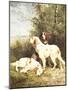 Three Irish Setters-Charles Oliver De Penne-Mounted Giclee Print