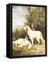 Three Irish Setters-Charles Oliver De Penne-Framed Stretched Canvas