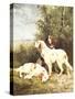 Three Irish Setters-Charles Oliver De Penne-Stretched Canvas