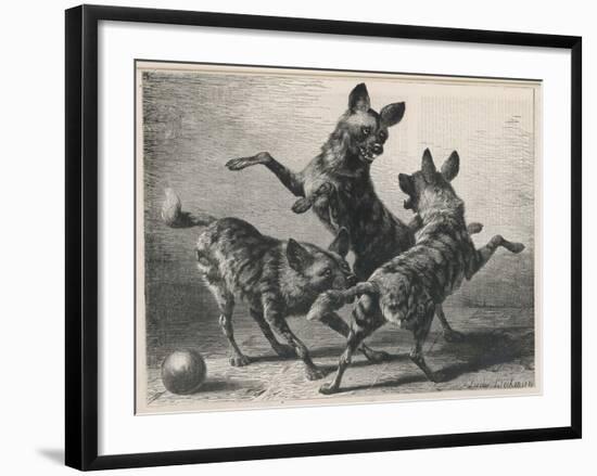 Three Jackals Playing Together-Beckman-Framed Art Print