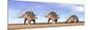 Three Kentrosaurus Dinosaurs Standing in the Desert-null-Mounted Art Print