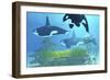 Three Killer Whales Pass over a Reef on a Journey to Find their Next Prey-Stocktrek Images-Framed Premium Giclee Print