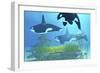 Three Killer Whales Pass over a Reef on a Journey to Find their Next Prey-Stocktrek Images-Framed Premium Giclee Print