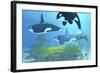 Three Killer Whales Pass over a Reef on a Journey to Find their Next Prey-Stocktrek Images-Framed Art Print