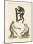 Three Kinds of Monkeys-null-Mounted Giclee Print