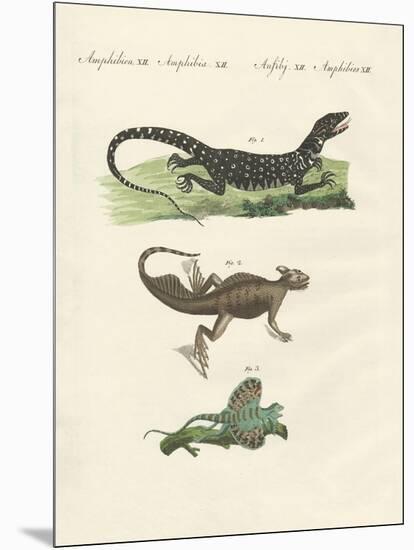 Three Kinds of Strange Lizards-null-Mounted Giclee Print