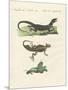 Three Kinds of Strange Lizards-null-Mounted Giclee Print