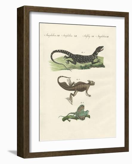 Three Kinds of Strange Lizards-null-Framed Giclee Print