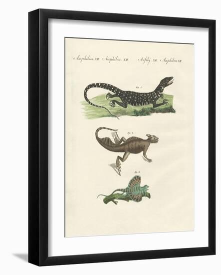 Three Kinds of Strange Lizards-null-Framed Giclee Print