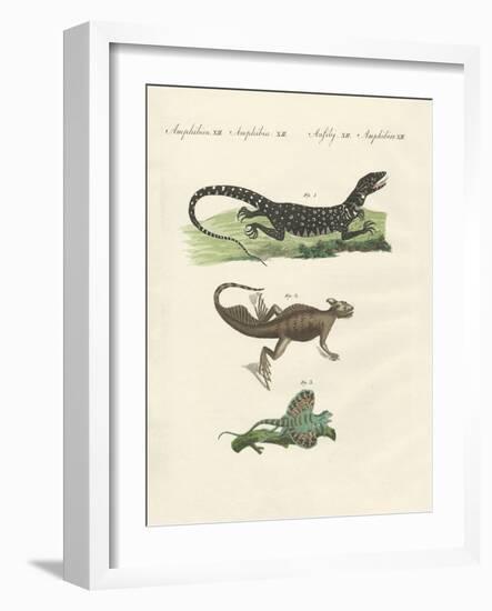Three Kinds of Strange Lizards-null-Framed Giclee Print