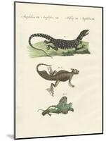 Three Kinds of Strange Lizards-null-Mounted Giclee Print