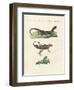 Three Kinds of Strange Lizards-null-Framed Giclee Print