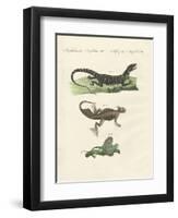 Three Kinds of Strange Lizards-null-Framed Giclee Print