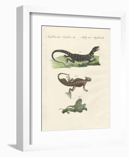 Three Kinds of Strange Lizards-null-Framed Giclee Print