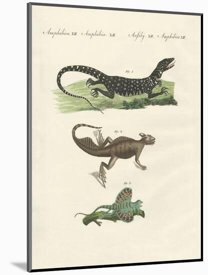 Three Kinds of Strange Lizards-null-Mounted Giclee Print