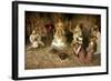 Three Kings, Nativity Scene, Los Cristianos, Tenerife, Canary Islands, 2007-Peter Thompson-Framed Photographic Print