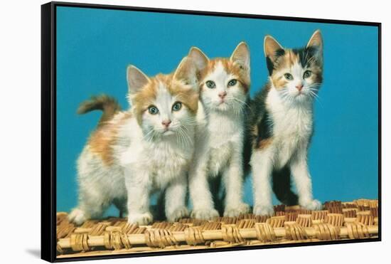 Three Kittens on a Basket-null-Framed Stretched Canvas