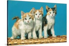 Three Kittens on a Basket-null-Stretched Canvas