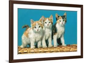 Three Kittens on a Basket-null-Framed Premium Giclee Print