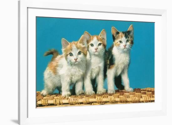 Three Kittens on a Basket-null-Framed Art Print