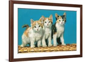 Three Kittens on a Basket-null-Framed Art Print