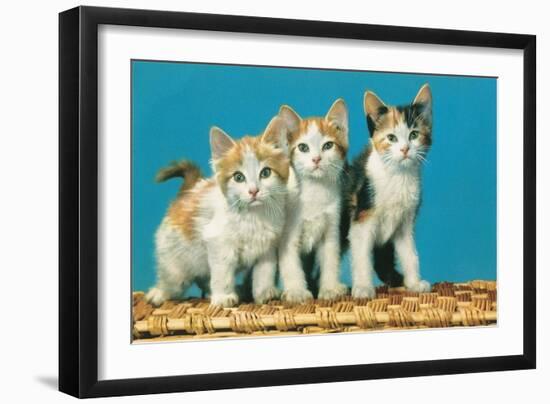 Three Kittens on a Basket-null-Framed Art Print