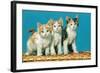 Three Kittens on a Basket-null-Framed Art Print