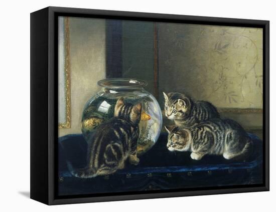 Three Kittens Watching Goldfish-Horatio Henry Couldery-Framed Stretched Canvas