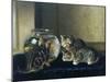 Three Kittens Watching Goldfish-Horatio Henry Couldery-Mounted Giclee Print