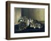 Three Kittens Watching Goldfish-Horatio Henry Couldery-Framed Giclee Print