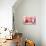 Three Kittens-Judy Mastrangelo-Giclee Print displayed on a wall