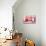Three Kittens-Judy Mastrangelo-Mounted Giclee Print displayed on a wall