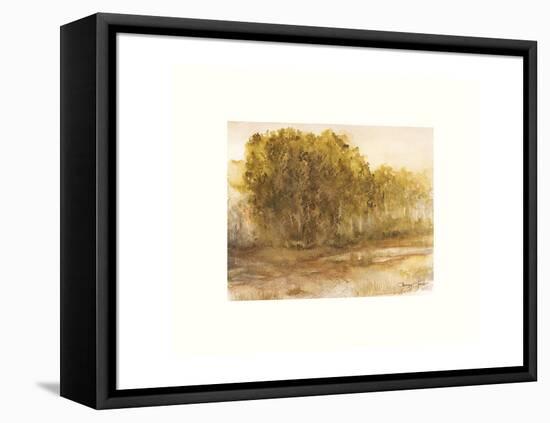 Three Lakes Cottonwoods-Sammy Sheler-Framed Stretched Canvas