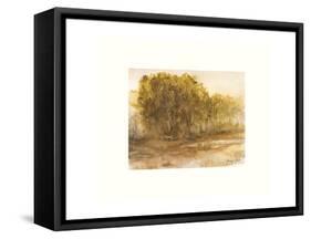 Three Lakes Cottonwoods-Sammy Sheler-Framed Stretched Canvas